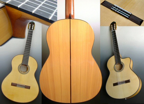 Flamenco guitars Dupont