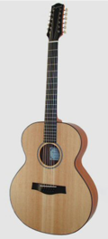 Folk guitar Dupont - 12Strings ABJ100-12 Model