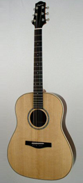 Folk guitar Dupont - Advanced Jumbo-AJ45