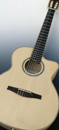 Folk guitar Dupont - Concert guitar Nylon string CFN20