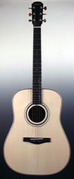 Folk guitar steel-string Dreadnought