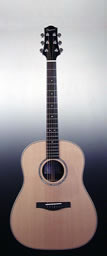 Folk guitar steel-string Advanced Jumbo