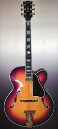 guitar Dupont - Excellence17 Model