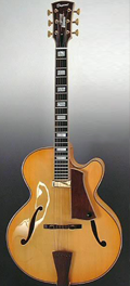 guitar Dupont - Privilege16 Model