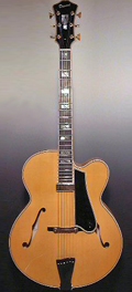 guitar Dupont - Privilege17 Model