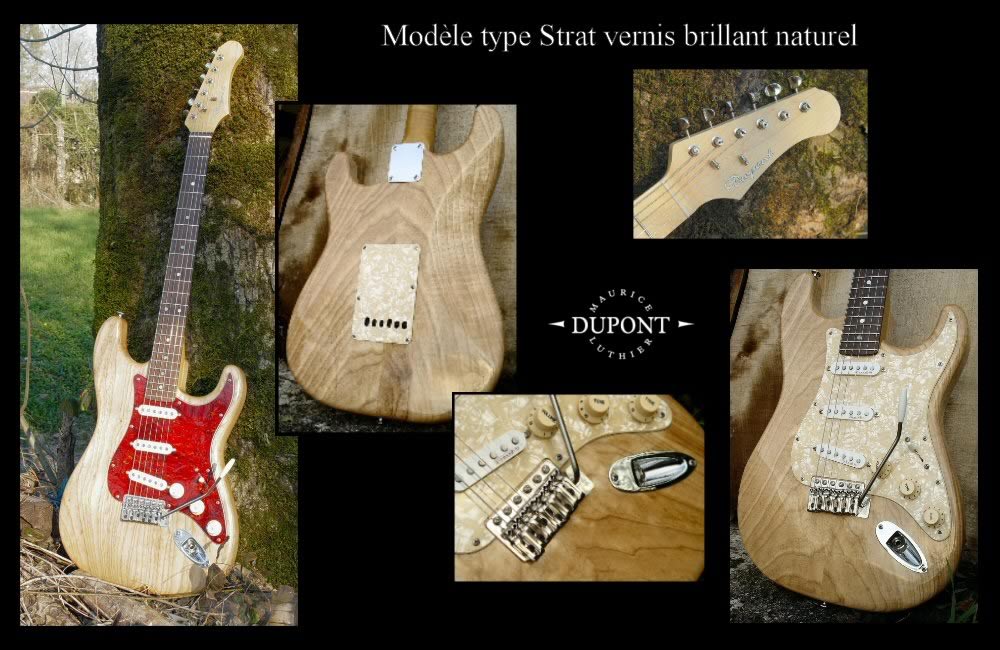 guitare-electrique-stratocaster-SDTB-dupont.jpg